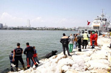 Tırdan Kaçan Angus Ortalığı Birbirine Kattı