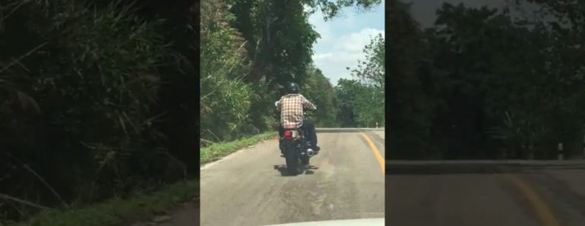 Un motocycliste se fait attaquer par un serpent sur une route de campagne