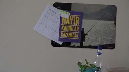 «همه پرسی ترکیه دمکراتیک نبود»