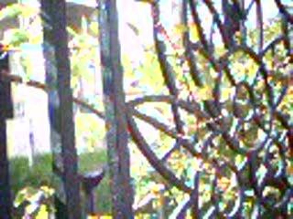 les tourelles des arts 3