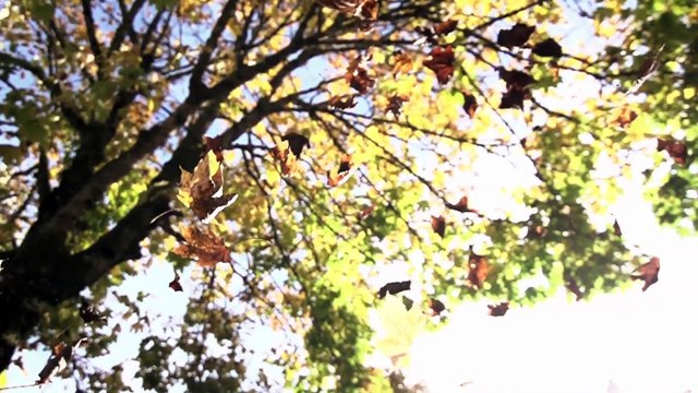 Cem adrian benini hala öldürüyorsun