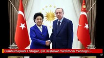 Cumhurbaşkanı Erdoğan, Çin Başbakan Yardımcısı Yandog'u Kabul Etti