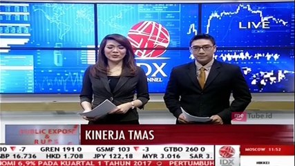 TMAS Incar Pendapatan Rp2,2 Triliun di 2017