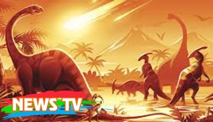 Nếu ngôi sao chổi từng hủy diệt khủng long va vào Mặt trời, chuyện gì sẽ xảy ra?
