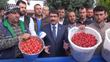 Manisa Kiraz Üreticisinin Gözü Rusya'da