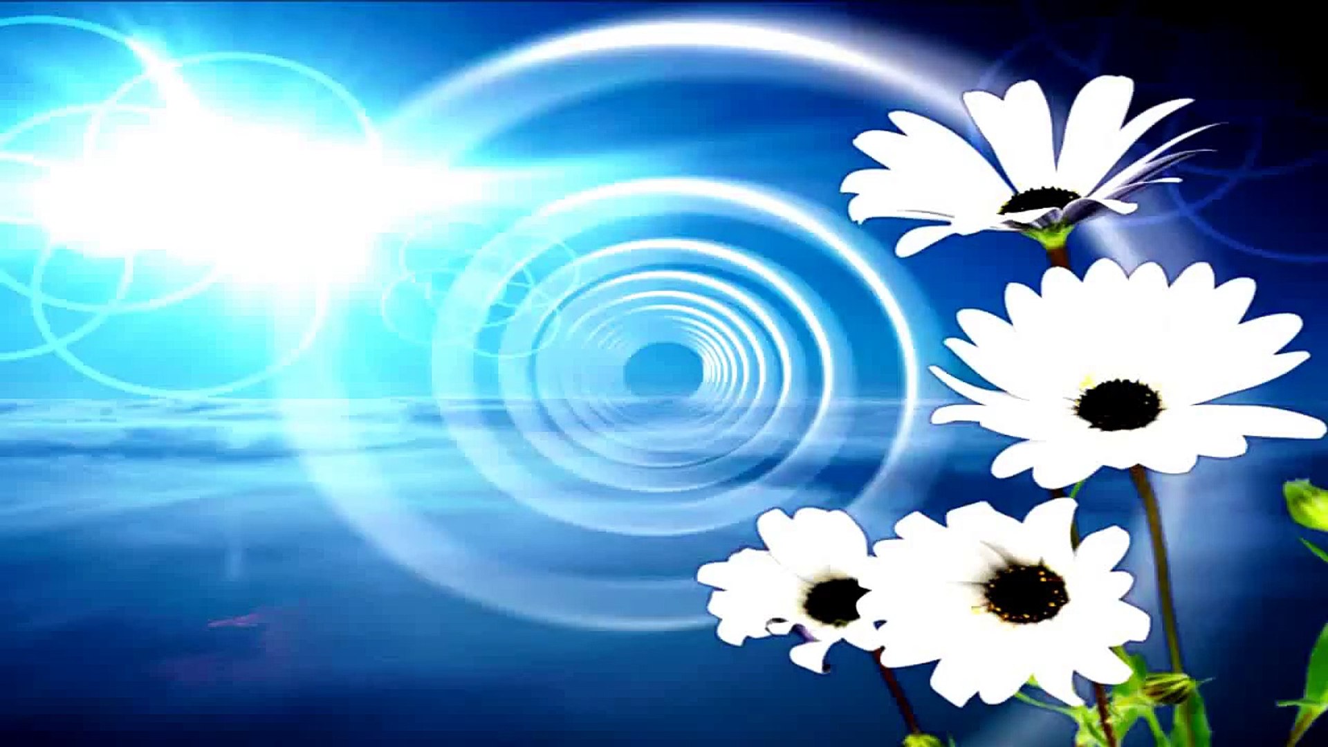 documentary | spring flower | flower documentary | gardens |