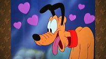 Mickey Mouse & Pluto Dog  A Mouse's Best Friend  New Cartoon Collection Playlist