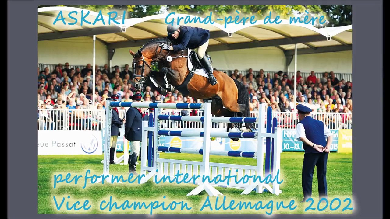 Galilée - top génétique **** cso cce dressage