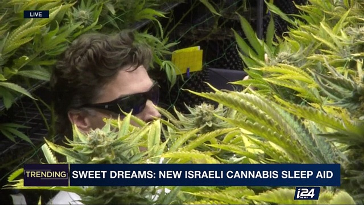TRENDING | Sweet dreams: new Israeli cannabis sleep aid  | Tuesday, April 18th 2017