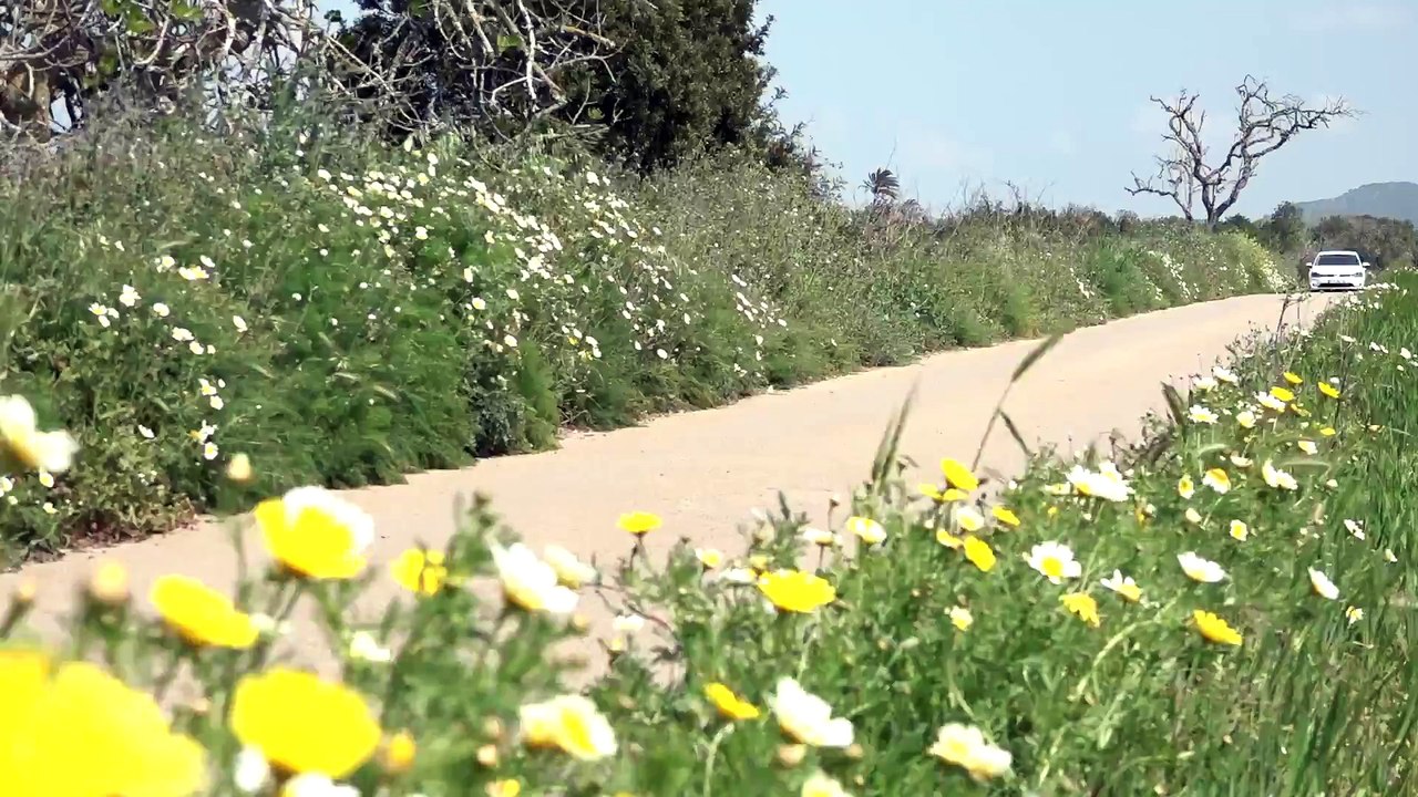 VW e-Golf & VW Golf R Test Drive on Mallorca