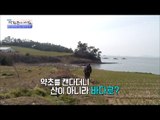 약초를 캐러 바다로 간 그녀! 그 이유는? [광화문의 아침] 446회 20170322