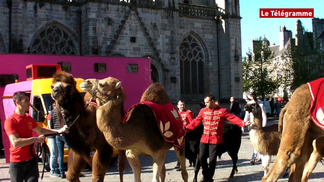 Quimper. L'aubade de Medrano