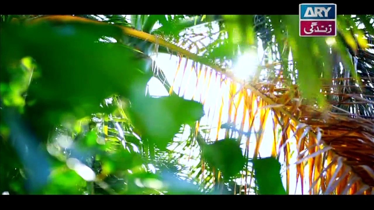 Dil-e-Barbad Episode 56 - on ARY Zindagi in High Quality - 18th April 2017