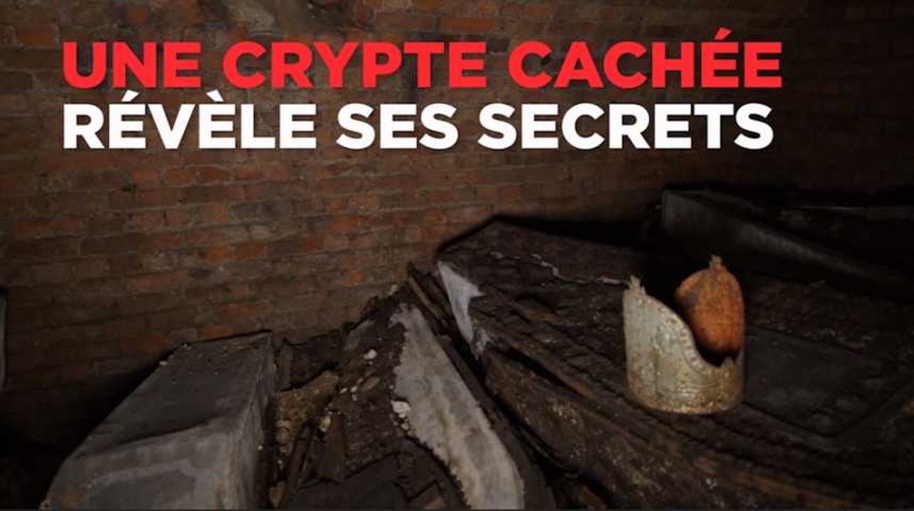 Une crypte cachée révèle ses secrets