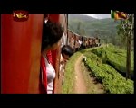 Sri Lanka Rail road Udarata Manike on Rupavahini Nanuoya to Pattipola
