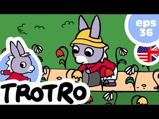 TROTRO - EP36 - Trotro waters the garden