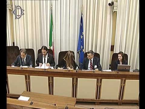 Roma - Fenomeno migratorio, audizione Buschheuer (12.04.17)