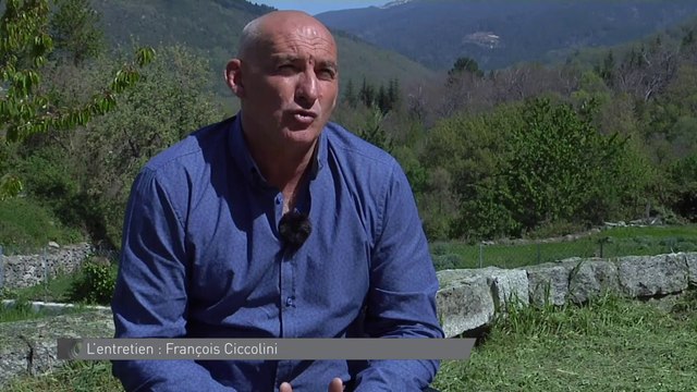 Foot - L1 - Bastia : Ciccolini «On se trompe de cible»