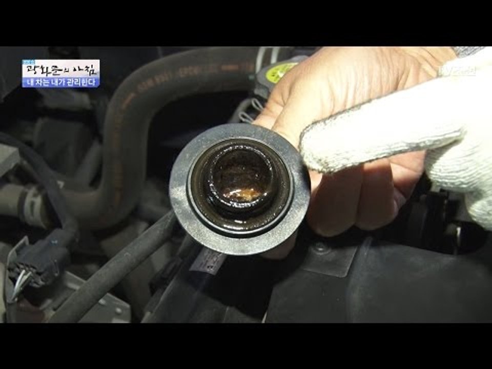 내 차의 엔진 상태는? 좋은 엔진 확인법! [광화문의 아침] 445회 20170321