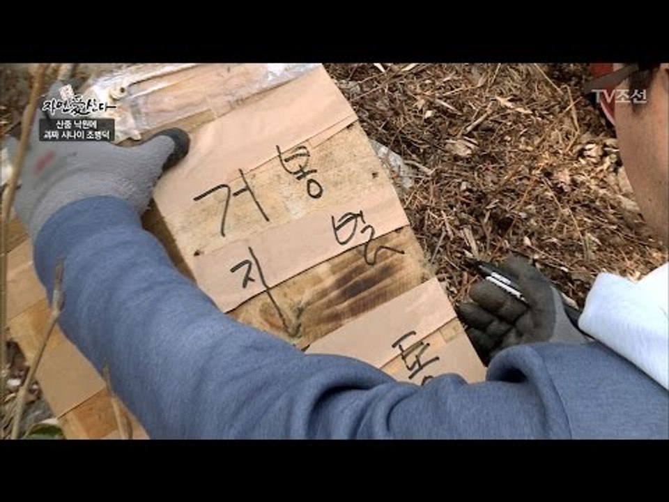 산중에 지상렬 벌집이 있다?! [자연愛산다] 2회 20170418