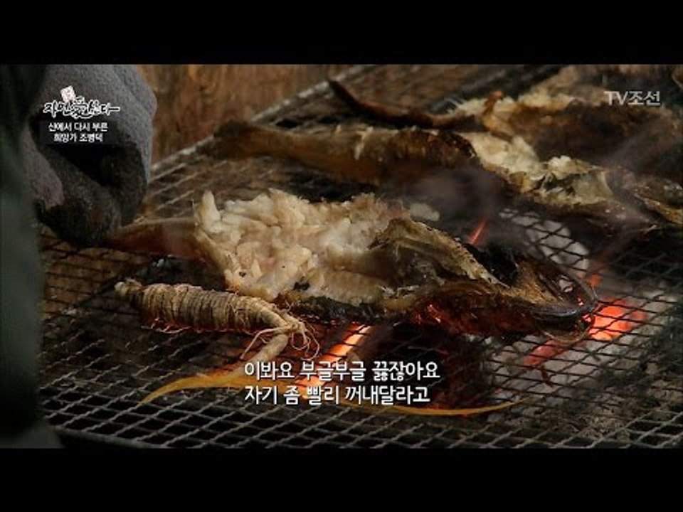 참나무 숯불에 구워먹는 더덕의 맛! [자연愛산다] 2회 20170418