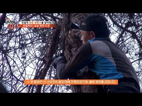 엄청난 높이의 나무에 오른 헌터! 인간 원숭이급 [뉴 코리아 헌터] 42회 20170320