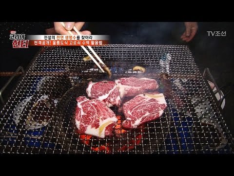 울릉도식 고로쇠 수액 활용법! [뉴 코리아 헌터] 42회 20170320