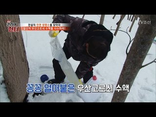 얼어버린 고로쇠 수액! 버려야 한다?! [뉴 코리아 헌터] 42회 20170320