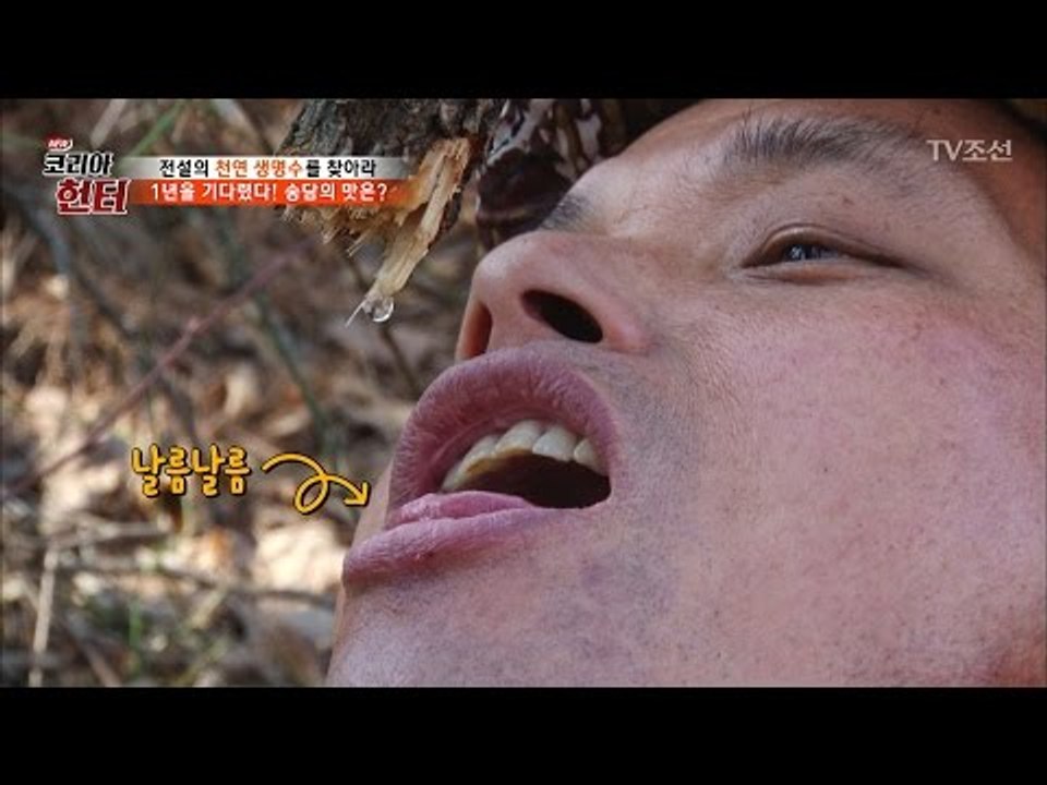 1년을 기다린 생명수 ‘수액’ 엄청나게 달다! [뉴 코리아 헌터] 42회 20170320