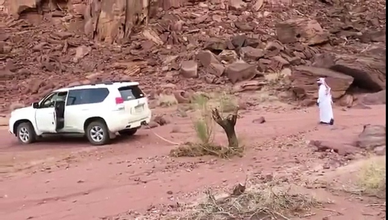 When You Underestimate The Power Of Nature (Revenge of the tree)