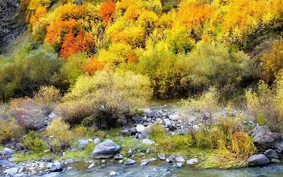 KARISIK SEÇME DAMAR TÜRKÜLER 2017