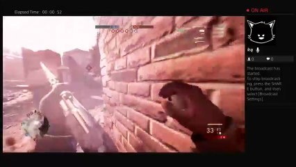 Wut in tarnation (16)