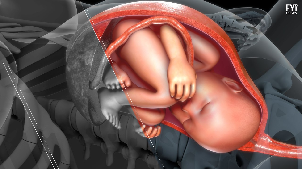 Gestation Outside of the Womb?