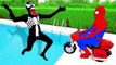 SPIDERMAN PUSH VENOM INTO POOL! w/ Police Hulk Joker Children Ball Pit Movie Kids Toys Cat