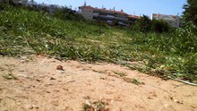 syma x8c crash
