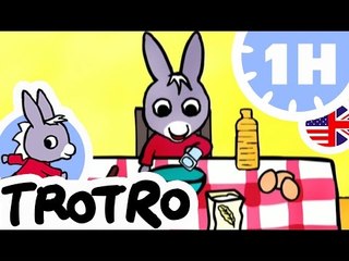 TROTRO - 1 hour - Compilation #01 - Trotro the cook