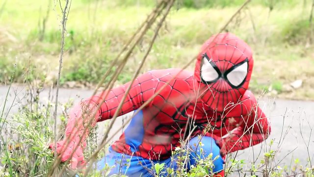 Lớp Học Siêu Anh Hùng Người Nhện Học Sinh Công Chúa Elsa Joker Làm Bài Kiểm tra ➤ Kubin & Lily ➤