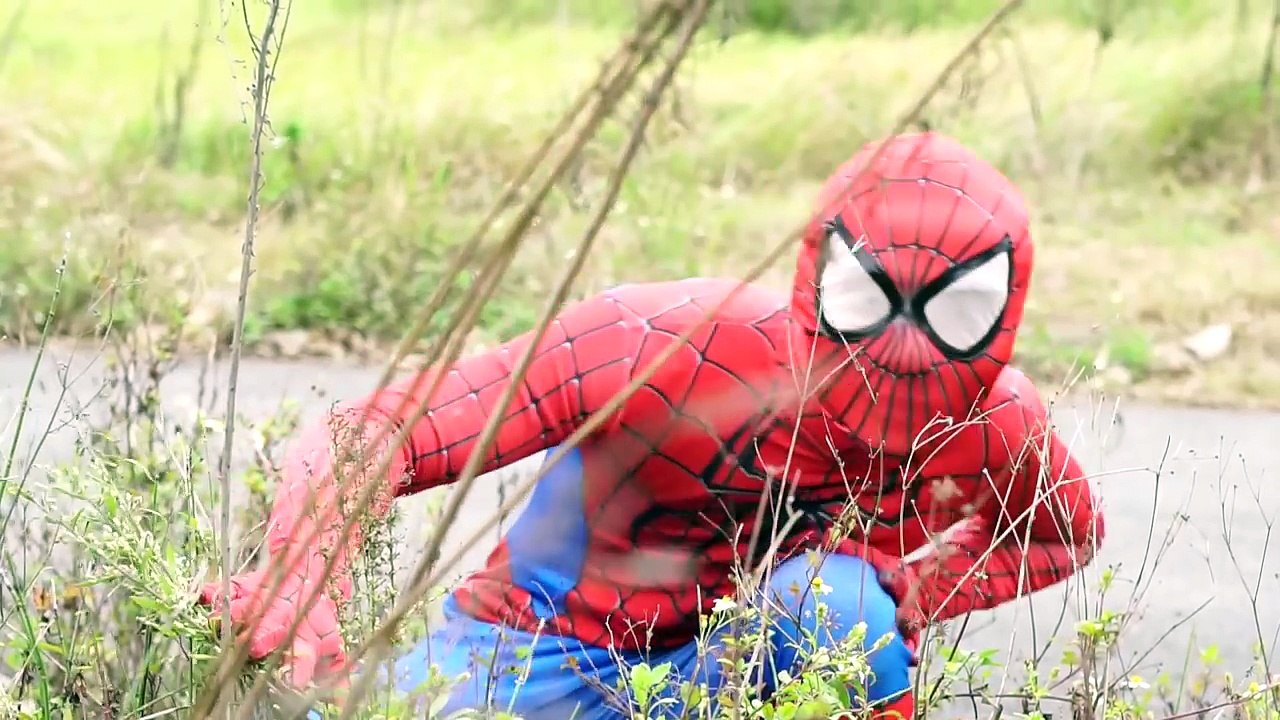 Lớp Học Siêu Anh Hùng Người Nhện Học Sinh Công Chúa Elsa Joker Làm Bài Kiểm tra ➤ Kubin & Lily ➤