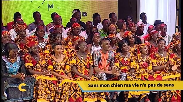 Sans mon chien ma vie n'a pas de sens, Dr PHYLO' se prononce sur le sujet du 18 avril 2017