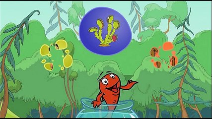 The Cat in the Hat Knows a Lot About That! - s02e06 Manatees and Mermaids _ The Last Chocolate