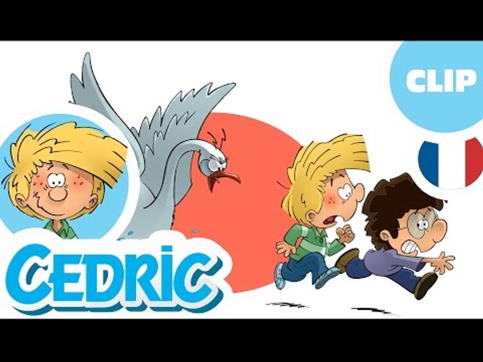 BIENVENUE SUR LA CHAINE OFFICIELLE DE CEDRIC