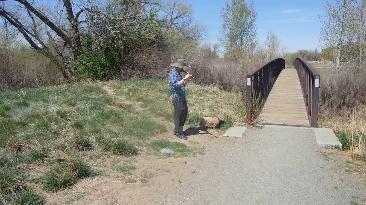 Flutist and His Cute Little Puppy Dog