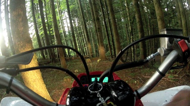 yamaha raptor 700r / LIFE-TT