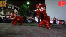 醒獅團舞獅表演 南廠南聯會《大林天元宮》（六）