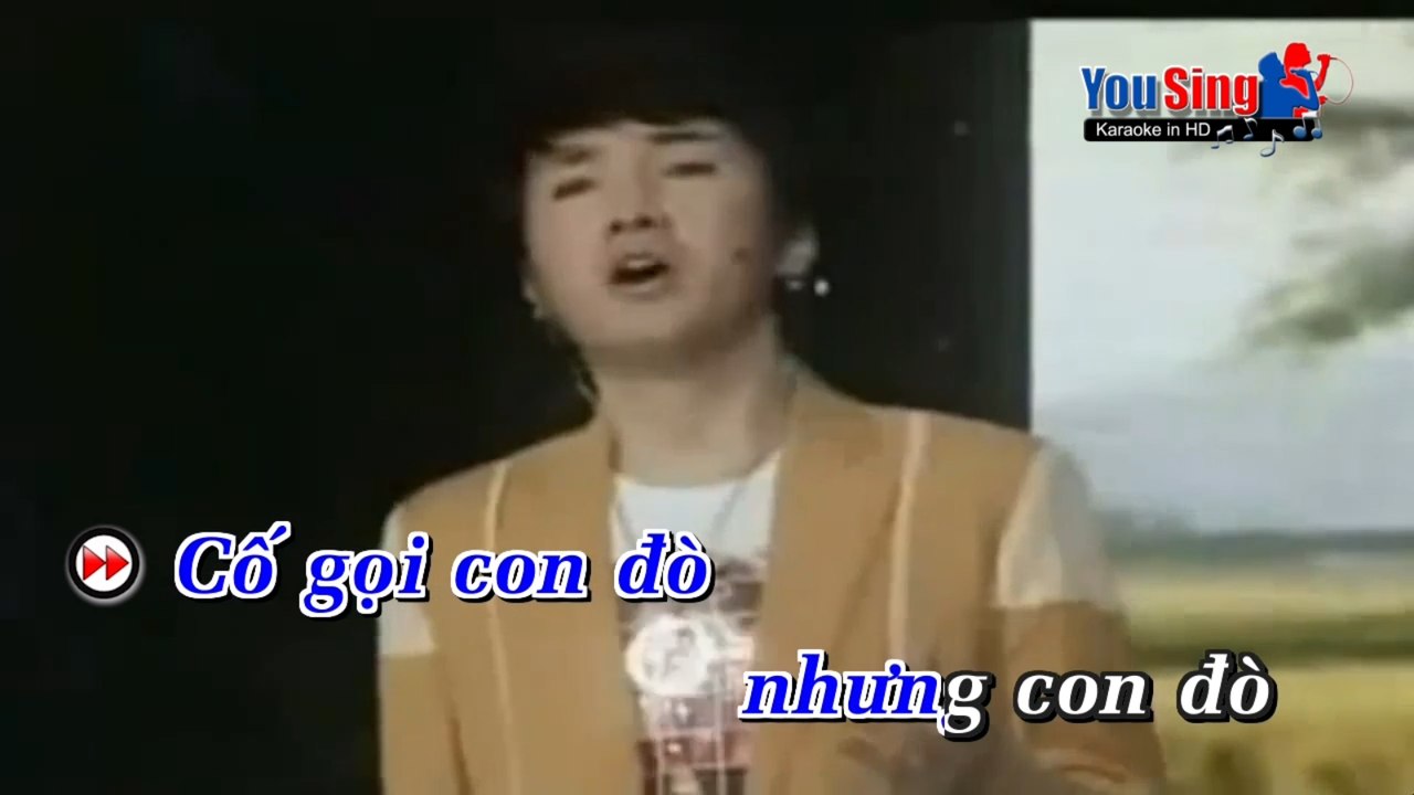 Hờn Trách Con Đò - Dương Ngọc Thái | KARAOKE BEAT CHUẨN✔