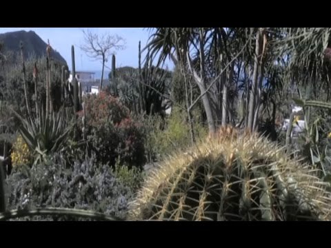 Ischia (NA) - Convegno sull'ambiente ai Giardini Ravino di Forio (18.04.17)