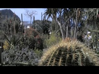 Ischia (NA) - Convegno sull'ambiente ai Giardini Ravino di Forio (18.04.17)