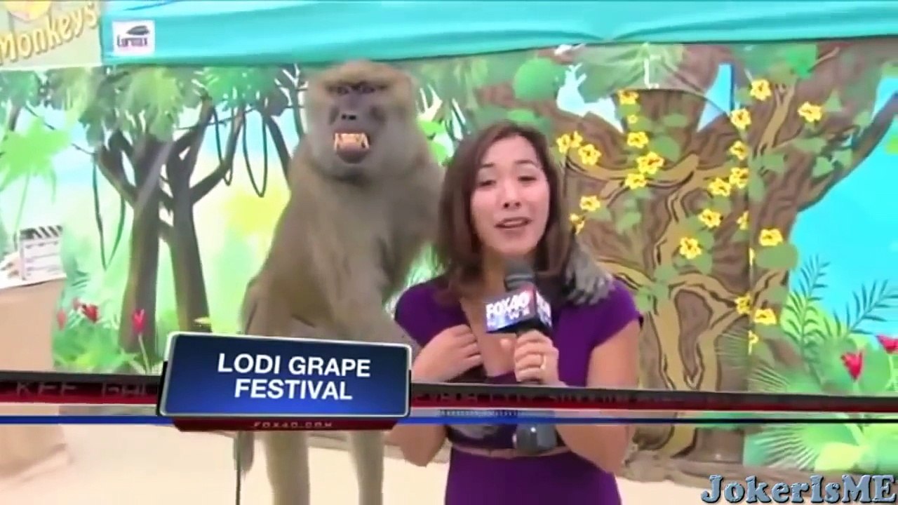 Funny videos - Funniest laughing bloopers ever