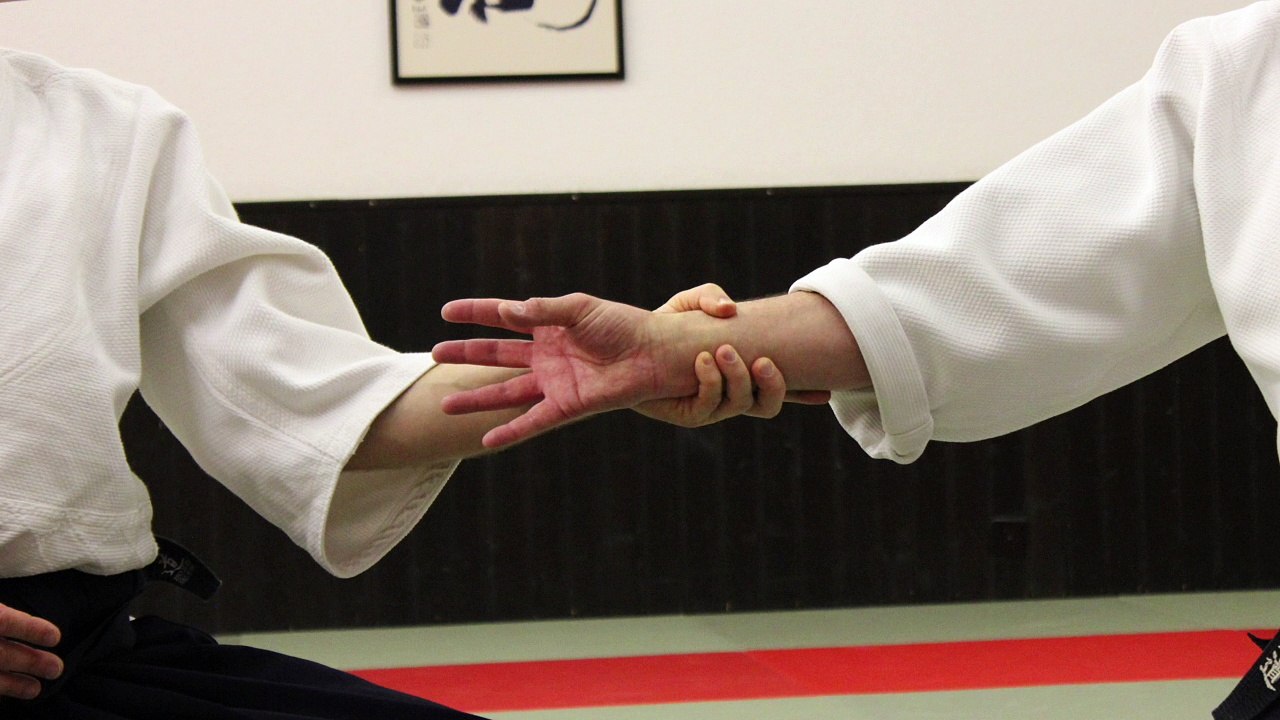 Les sélections techniques Aikido de Michel Erb Sensei Part 31