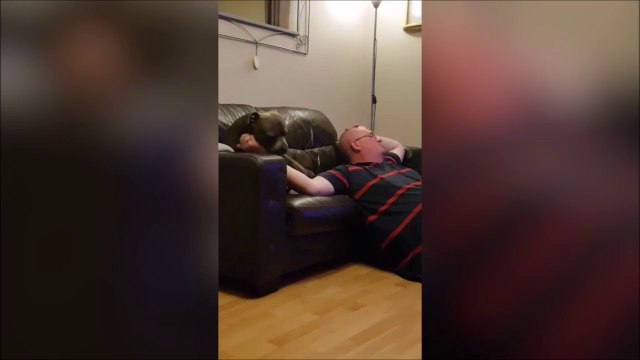 Aller t'arrete pas... Ce chien aime vraiment les caresses !